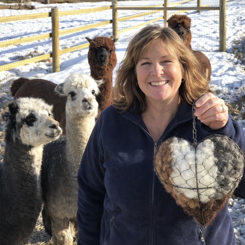 🔥LAST DAY 50% OFF - 🕊️🏡Handmade Natural Alpaca Fiber Bird Nesting Heart❤️A Cozy Gift for Birds